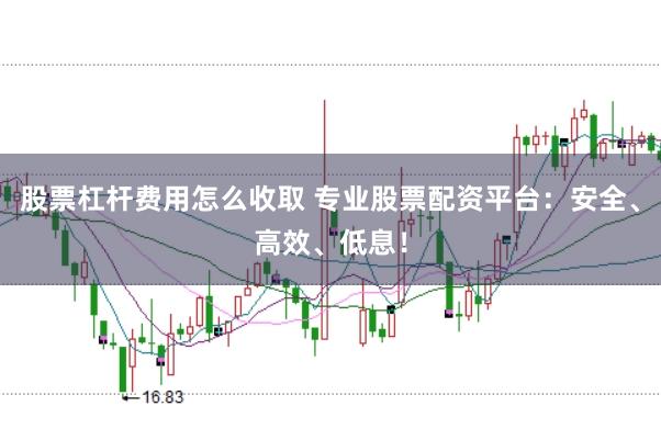 股票杠杆费用怎么收取 专业股票配资平台:安全、高效、低息!