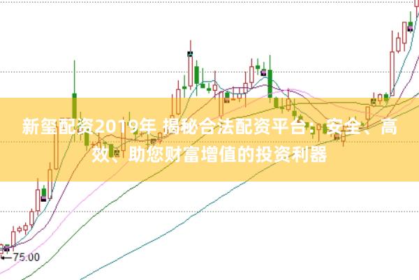 新玺配资2019年 揭秘合法配资平台：安全、高效、助您财富增值的投资利器