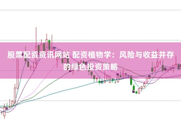 股票配资资讯网站 配资植物学：风险与收益并存的绿色投资策略