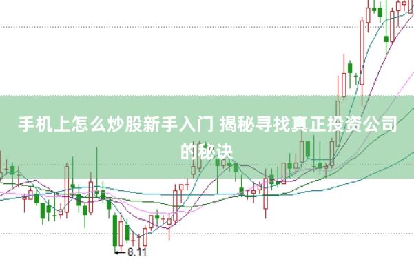 手机上怎么炒股新手入门 揭秘寻找真正投资公司的秘诀