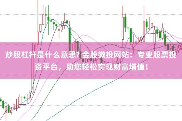 炒股杠杆是什么意思? 金股微投网站：专业股票投资平台，助您轻松实现财富增值！