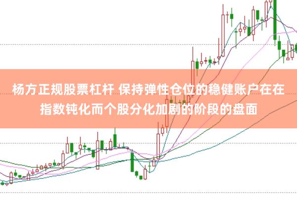 杨方正规股票杠杆 保持弹性仓位的稳健账户在在指数钝化而个股分化加剧的阶段的盘面